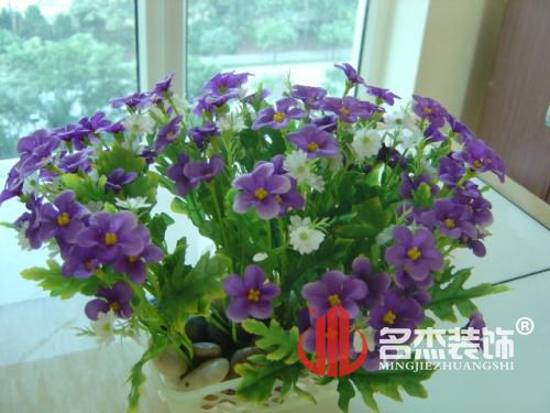 办公室91视频网站入口.jpg